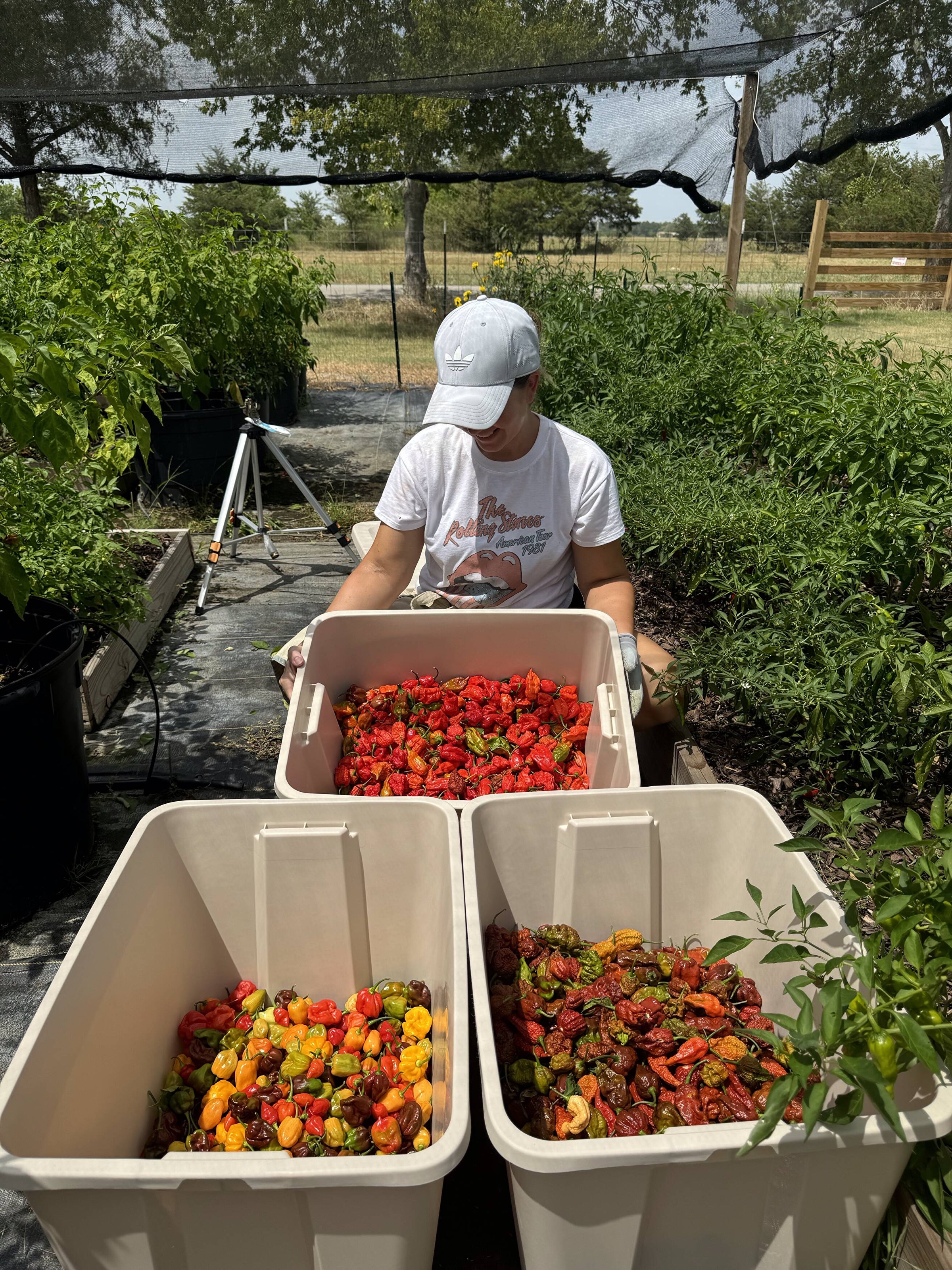 Pepper Specialists | Pepperona Peppers